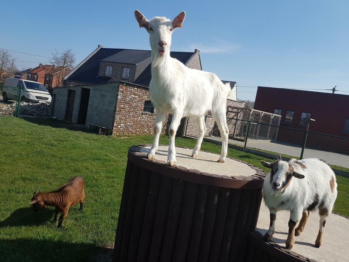 Vakantiewoning De Schuur Ferienhaus Tienen